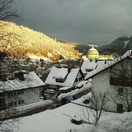 Apartman Haus-becker-schmidt-st-blasien
